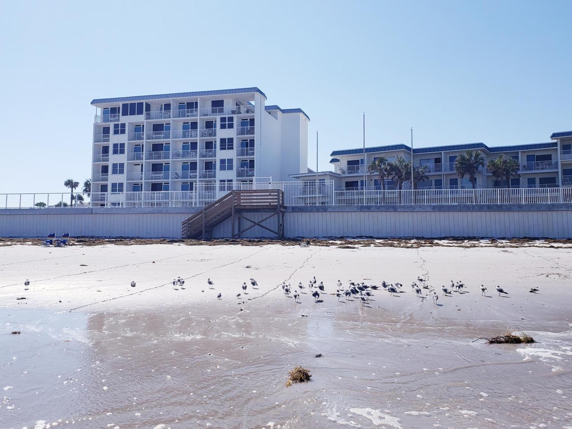 Beachside Bliss Ocean Views & Endless Fun Daytona Beach! Exteriér fotografie